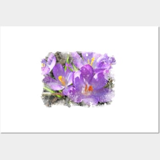 Hope Springs Eternal - Crocus with watercolor texture Posters and Art